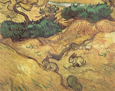 Vincent Van Gogh Field with Two Rabbits (nn04) oil painting picture